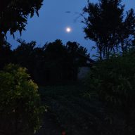 alirostami_1376