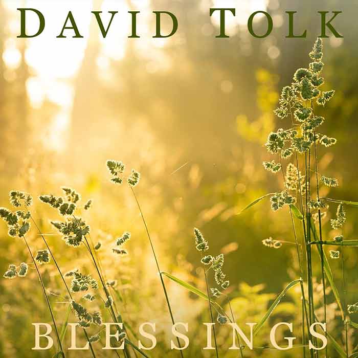 David Tolk, Steven Sharp Nelson - Blessings