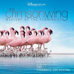 The Cinematic Orchestra - The Crimson Wing Mystery of the Flamingos (Original Soundtrack)