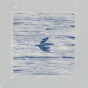 Cedric Vermue - Before Us