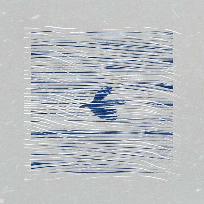 Cedric Vermue - Before Us