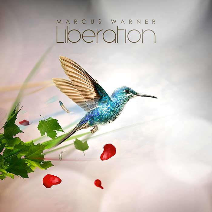 Marcus Warner - The Captain's Dance