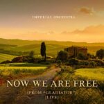 Hans Zimmer & Imperial Orchestra - Now We Are Free (From Gladiator) [Live]