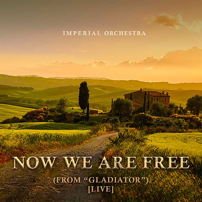 Hans Zimmer & Imperial Orchestra - Now We Are Free (From Gladiator) [Live]